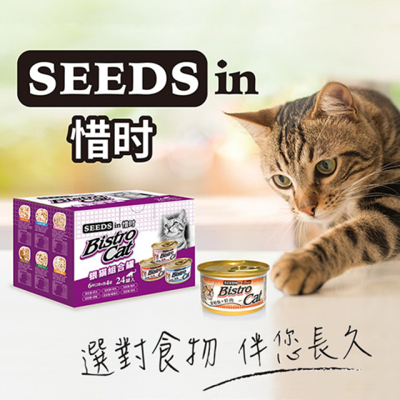 惜时旗舰店泰国进口猫罐头小银罐成猫营养猫咪零食80g*24罐 整箱