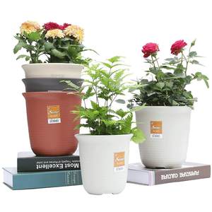 Alice thick resin Alice Basin imitation ceramic plastic succulent green planting orchid hydrangea planting pot