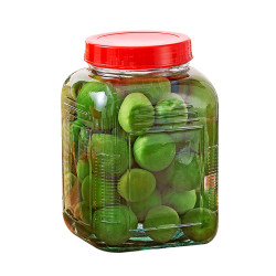 Ivy Home Popular Modern Simple Soda Lime Glass