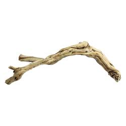 BG Climbing Pet Natural Overlord Rainforest Landscaping Decoration