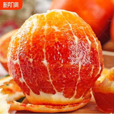 2026年3月23日更新【万能白菜价】的图片 第48张