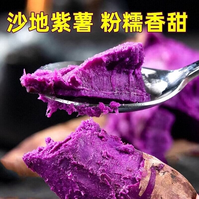 2026年9月2日更新【万能白菜价】的图片 第64张