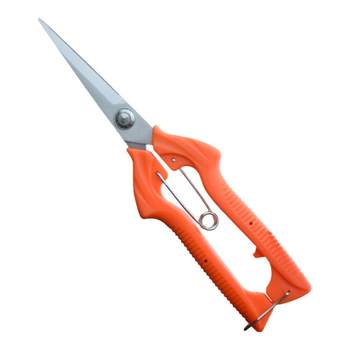 Cut grapes, squeezing flowers, cut sprouts, scissors, branches, citrus
