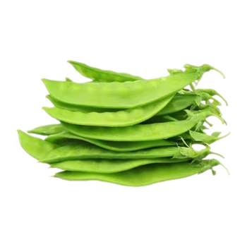 Dutch beans picked sweet pea pods are grown by farmers
