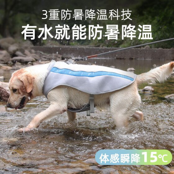 宠物降温衣 防暑降温宠物凉凉衣中大型犬马甲夏季宠物服装