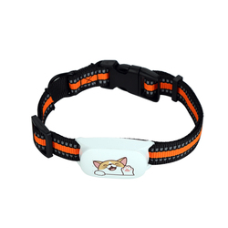 Cat Locator Available Abroad, Hong Kong And Taiwan, Pet Anti-lost Gps, Animal 4g Dog Tracker, Reservation