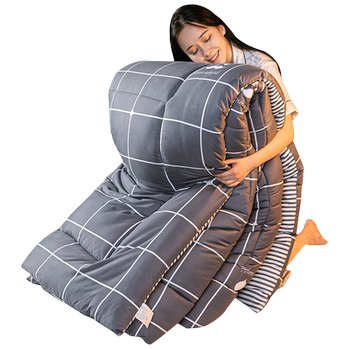 [Category A A bacteriostatic light and soft] Winter quilt spring and autumn
