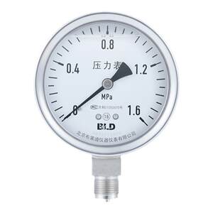 
BLD Beijing Brady all stainless steel shock-resistant pressure gauge YTHN-100.AO.531.M20 Radial level 1.6