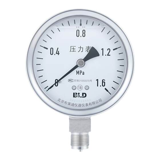 
BLD Beijing Brady all stainless steel shock-resistant pressure gauge YTHN-100.AO.531.M20 Radial level 1.6
