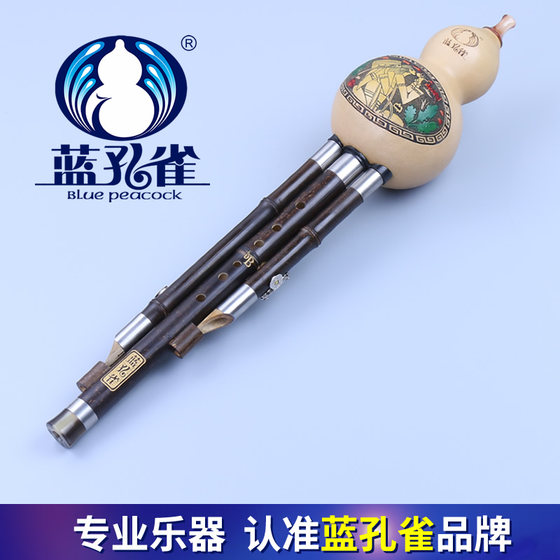 Blue Peacock Hulusi, Purple Bamboo 연주 유형, C 키, B 플랫 키, 소형 D/G/F 키, 운남 악기 독점