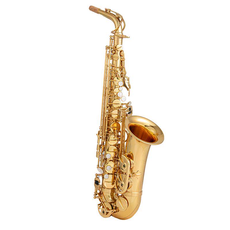 Origineel origineel saxofooninstrument voor beginners en volwassenen