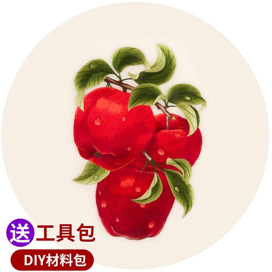 苏绣刺绣DIY套件初学针迹扫描水果苹果葡萄石榴手工自学装饰画