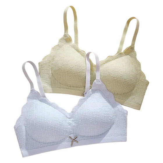 
Underwear for women with small breasts, push-up and auxiliary breasts, anti-sagging, no wire rims girls bra 2026 new style seamless beautiful back bra
