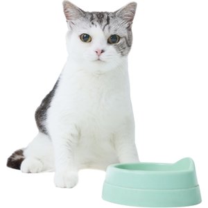 Big cat flying fish with pet officers to feed cats Shenzhen care pet feeding cats to raise cats to feed shovel
