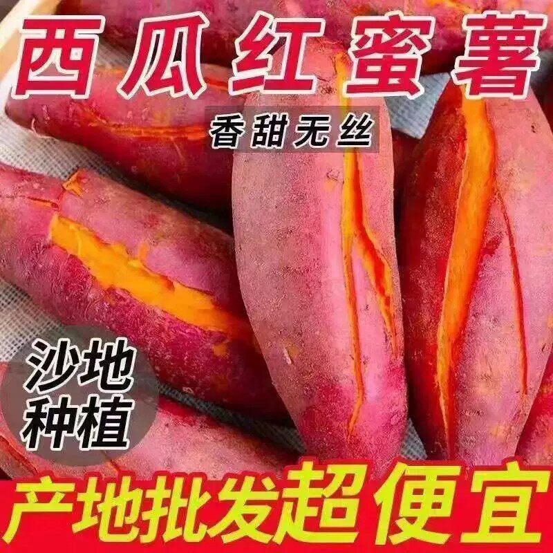 笑芙 西瓜红蜜薯 中果 4.5斤 天猫优惠券折后￥14.5包邮（￥15.5-1）淘金币可抵扣￥1.39