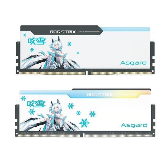 Asgard Fubuki DDR5 32GB (16GBx2) 6400MHz RGB Desktop Memory