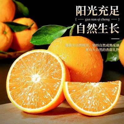 2026年1月31日更新【万能白菜价】的图片 第50张