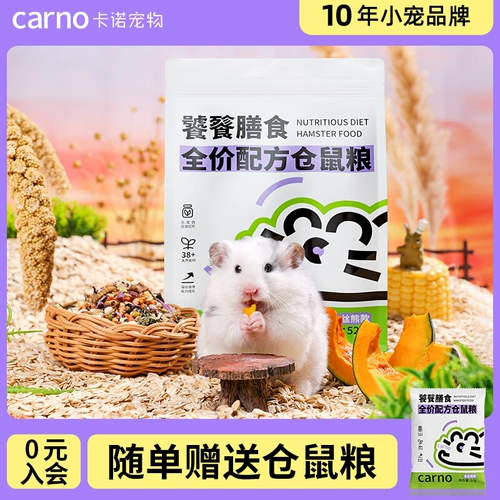 Кано Хомять пища Главная пища и пищевая тыква питание питания