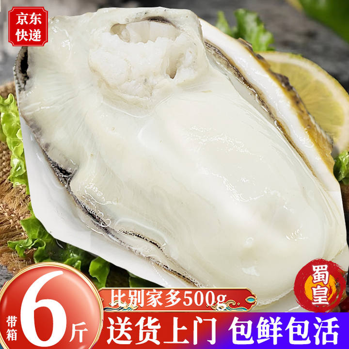 蜀皇 乳山生蚝鲜活6斤 特大生蚝肉即食牡蛎贝新鲜海蛎子10海鲜水产一箱
