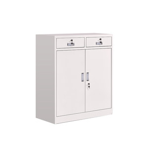 Two Dou Dwarm Office Tieki Cabinet File Cabinet Drawing Data File Cabinet Cabinet Cabinet Storage Book Cabinet
