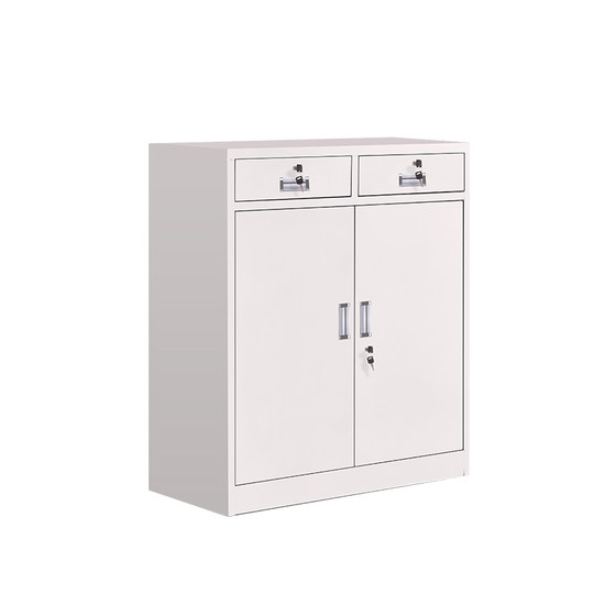 Two Dou Dwarm Office Tieki Cabinet File Cabinet Drawing Data File Cabinet Cabinet Cabinet Storage Book Cabinet

