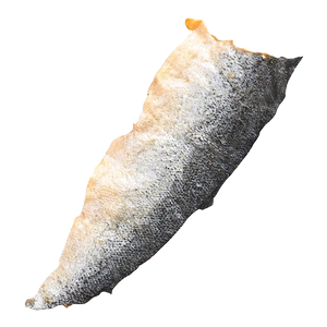 Dog's teeth rod frozen salmon skin pet snacks and grinding teeth clean teeth a whole piece of rich fish oil, beautiful hair, brighter hair