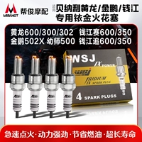 Применимо к Benali Huanglong 600/300 Qianjiang Chase 600/350 дошкольного учителя 500 Мотоцикл 铱 Золотая зажигание зажигания