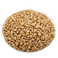 New Goods Huai Wheat 500g - Ganmai Jujube Soup Raw Material Chinese Herbal Medicine