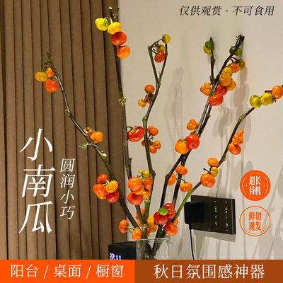 2026年9月16日更新【万能白菜价】的图片 第2张