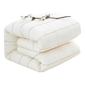 Xinjiang long velvet cotton thickened warm quilt quilt core quilt