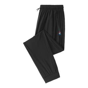 Summer sports pants female ice silk fast dried pants men's thin running casual climbing large size elastic long pants bouquet foot breathability