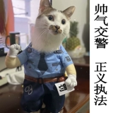 Собаки смешная и забавная одежда кот милый домашний котенок