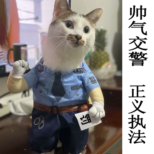 Собаки смешная и забавная одежда кот милый домашний котенок