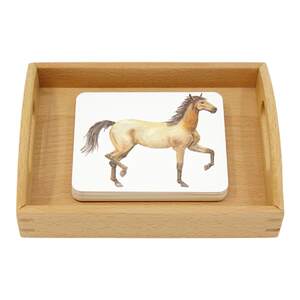 
Montessori early education educational toys classroom layout AMI standard IC classroom set language partition