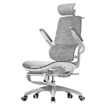Xihao M59Pro ergonomic chair dual -back computer chair
