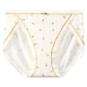 
Secret Whisper Underwear Women's 2026 New Antibacterial Thin High Slit Briefs Seamless Hip Covering Lace Edge Boxer Shorts