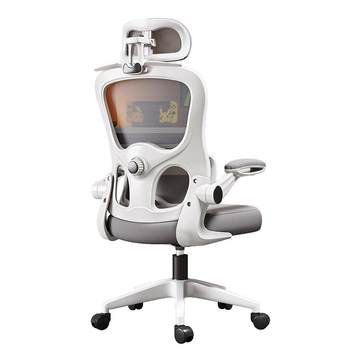 [National subsidy 15%] Ergonomic chair