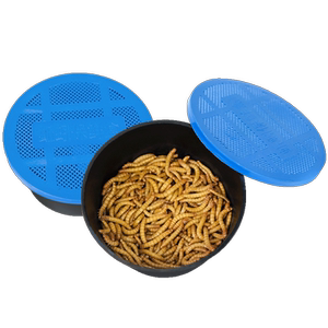 Mealworm live breathable small box delivery mealworm spider scorpion turtle gecko horned frog bird feed live bait