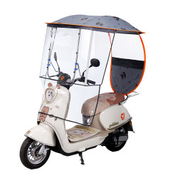 Electric vehicle canopy with enlarged windshield and canopy