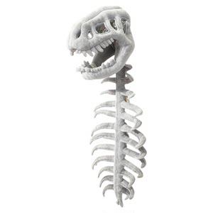 China Dinosaur Park Official Genuine Dinosaur Skeleton Children's Adult Dress Up Clothing Props Mask Headband Plush Gift