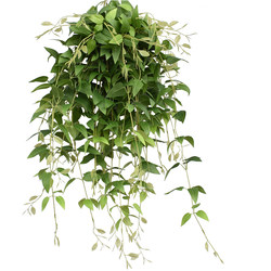 Ivy willow leaf rattan wall hanging flower arrangement flower material