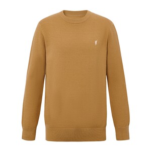 
[Special Offer] POLOWALK Men's Knitted Sweater Autumn New Business Casual Round Neck Versatile Pullover Sweater