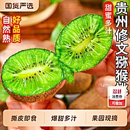 【下拉8.64元】4.5斤贵州修文猕猴桃