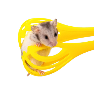
Yue Xiaomeng hamster clip to catch mice, interactive anti-biting tool, golden bear to relieve boredom, self-pleasure toys, daily necessities