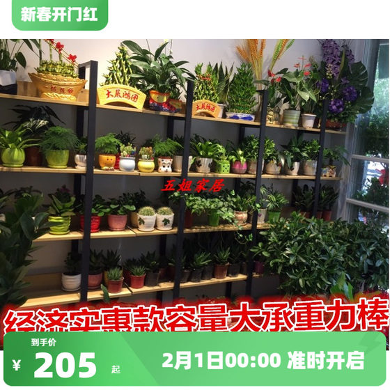 花架铁艺多层家用隔断置物架落地式室内阳台植物架花店绿萝花盆架