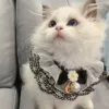 Товары от 萌宠精店铺