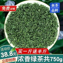 2024 Chinese New Year Tea Cloud Mist Green Tea High Mountain Tea Non Maojian Tea Adequate Sunshine Strong Aroma Bag Bulk 750g