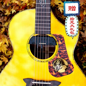 St. Mark's St. Marco ST100/ASCE ST500/ASCE All Singularity Guitar