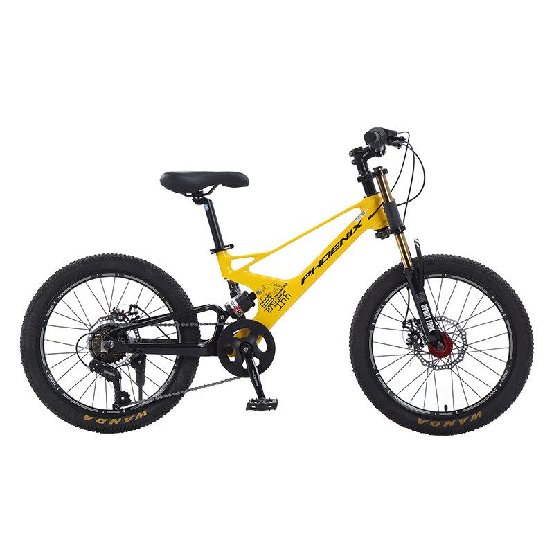 Alloy Phoenix Mountain Bike Phoenix Dream Magnesium Alloy Kids