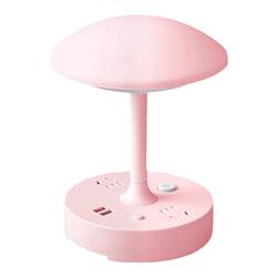 Multifunctional desk lamp socket panel porous
